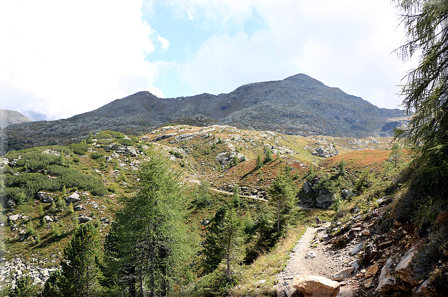 foto Da Passo 5 Croci alla Forcella Magna